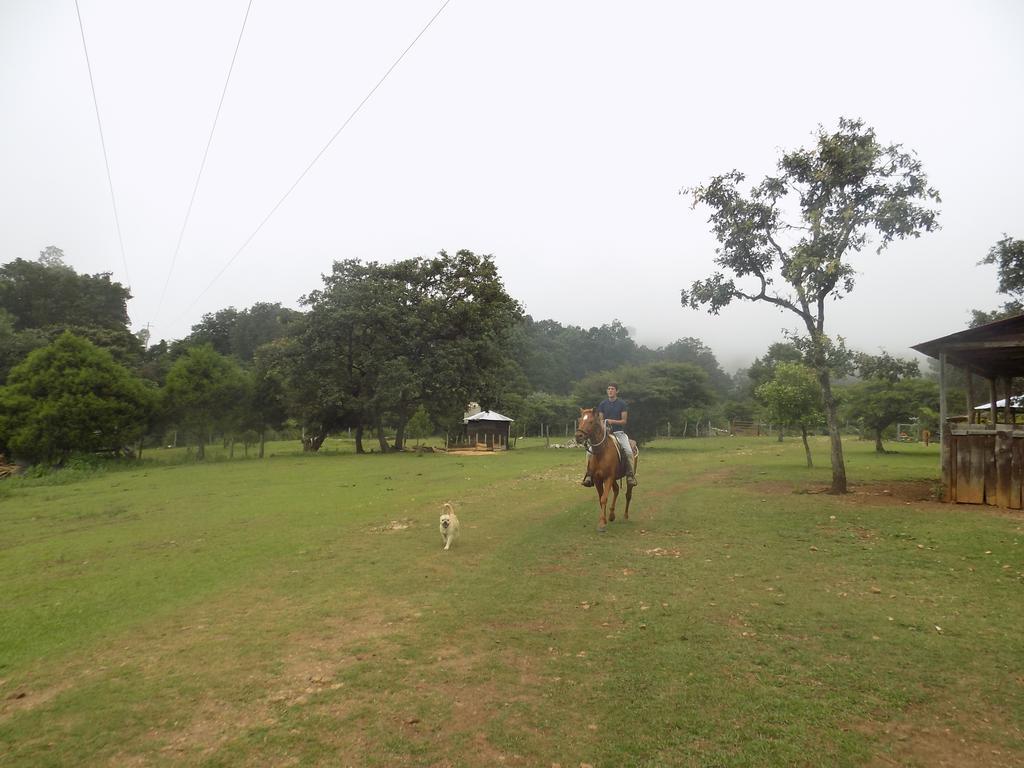 Rancho Hostal La Escondida Eco Park Teopisca Kültér fotó