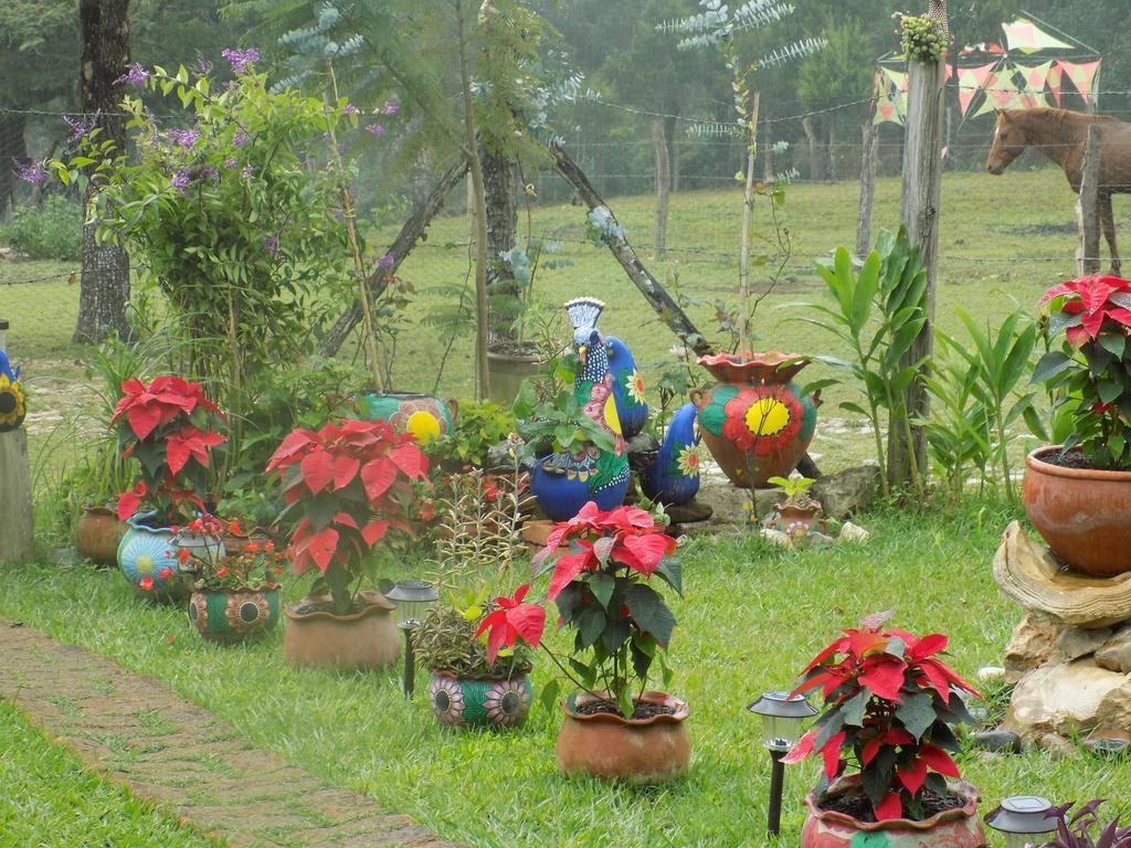 Rancho Hostal La Escondida Eco Park Teopisca Kültér fotó